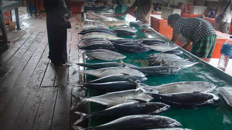 Suasana Pasar Ikan Ranai di Bunguran Timur, Natuna. (Dok. Istimewa)